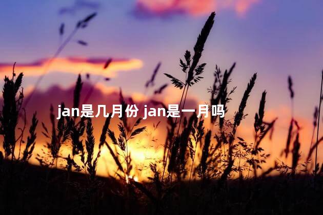jan是几月份 jan是一月吗
